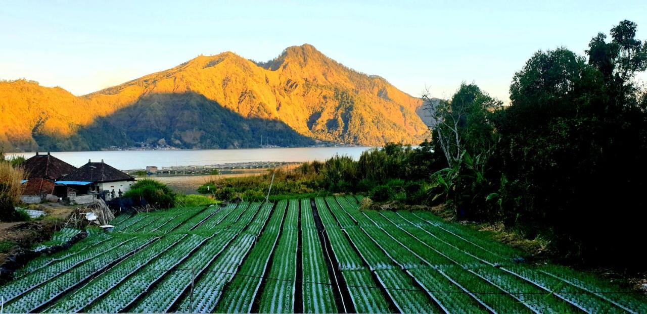 Volcano Lake View Kintamani المظهر الخارجي الصورة